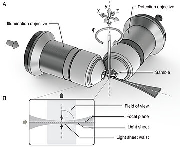The basic principle of light-sheet microscopy