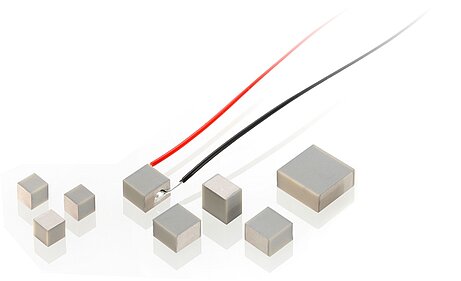 PICMA® Chip Actuators