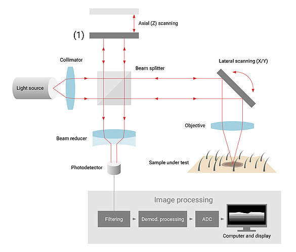 Michelson-Interferometer Aufbau zur Untersuchung von Gewebe